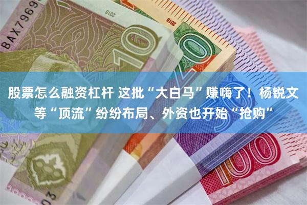 股票怎么融资杠杆 这批“大白马”赚嗨了！杨锐文等“顶流”纷纷布局、外资也开始“抢购”
