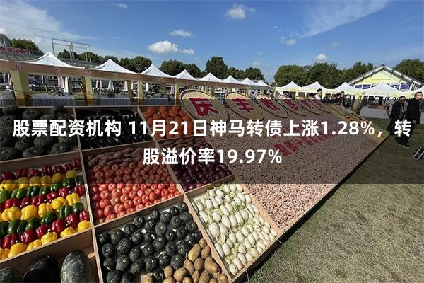 股票配资机构 11月21日神马转债上涨1.28%，转股溢价率19.97%