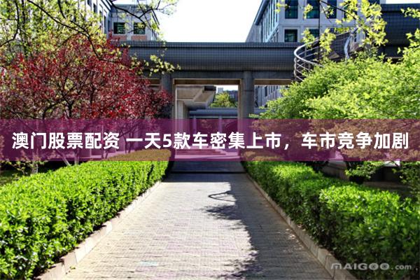 澳门股票配资 一天5款车密集上市，车市竞争加剧