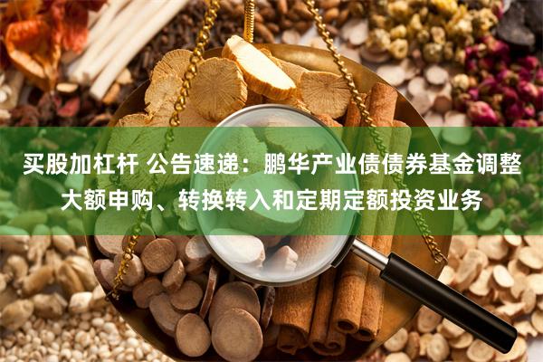 买股加杠杆 公告速递：鹏华产业债债券基金调整大额申购、转换转入和定期定额投资业务
