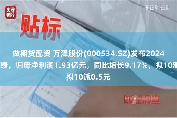 做期货配资 万泽股份(000534.SZ)发布2024年度业绩，归母净利润1.93亿元，同比增长9.17%，拟10派0.5元