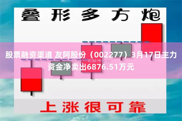 股票融资渠道 友阿股份（002277）3月17日主力资金净卖出6876.51万元