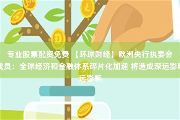 专业股票配资免费 【环球财经】欧洲央行执委会成员：全球经济和金融体系碎片化加速 将造成深远影响