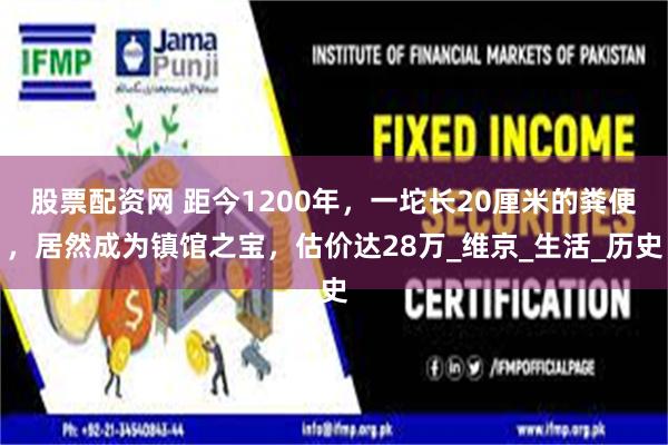 股票配资网 距今1200年，一坨长20厘米的粪便，居然成为镇馆之宝，估价达28万_维京_生活_历史