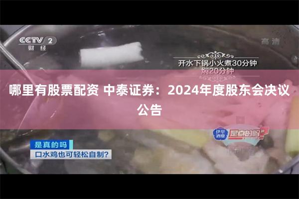 哪里有股票配资 中泰证券：2024年度股东会决议公告