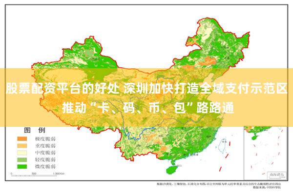 股票配资平台的好处 深圳加快打造全域支付示范区 推动“卡、码、币、包”路路通