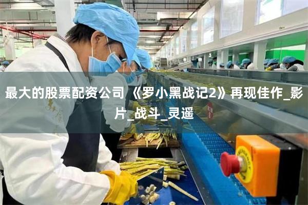 最大的股票配资公司 《罗小黑战记2》再现佳作_影片_战斗_灵遥