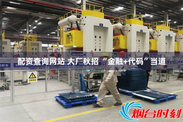 配资查询网站 大厂秋招 “金融+代码”当道