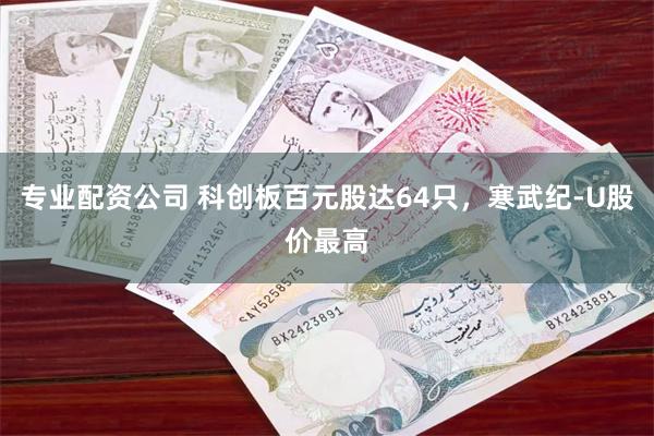 专业配资公司 科创板百元股达64只，寒武纪-U股价最高