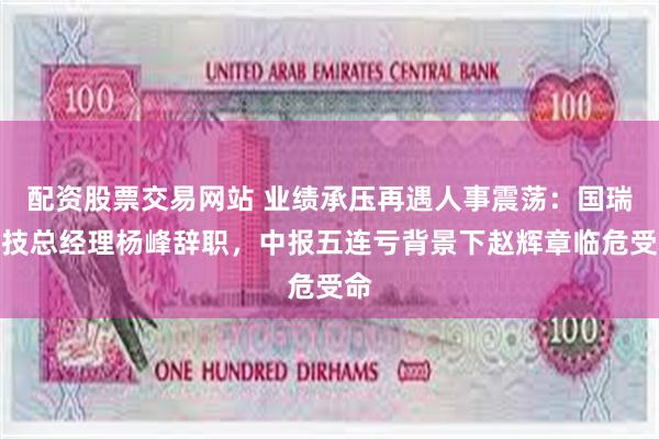 配资股票交易网站 业绩承压再遇人事震荡：国瑞科技总经理杨峰辞职，中报五连亏背景下赵辉章临危受命